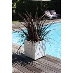 Bac a fleurs Carré 40 cm - EDA - Graphit - 31 L - 39 x 39 x H. 43 cm