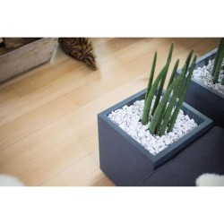 Bac a fleurs Carré 40 cm - EDA - Graphit - 31 L - 39 x 39 x H. 43 cm