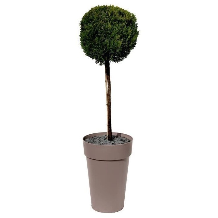 Vase haut Rond Ø 46 cm - EDA - Toscane - 67 L - Ø 46 x H. 65 cm - Taupe Vase haut Rond Ø 46 cm - EDA - Toscane - 67 L - Ø 46 x H. 65 cm - Taupe