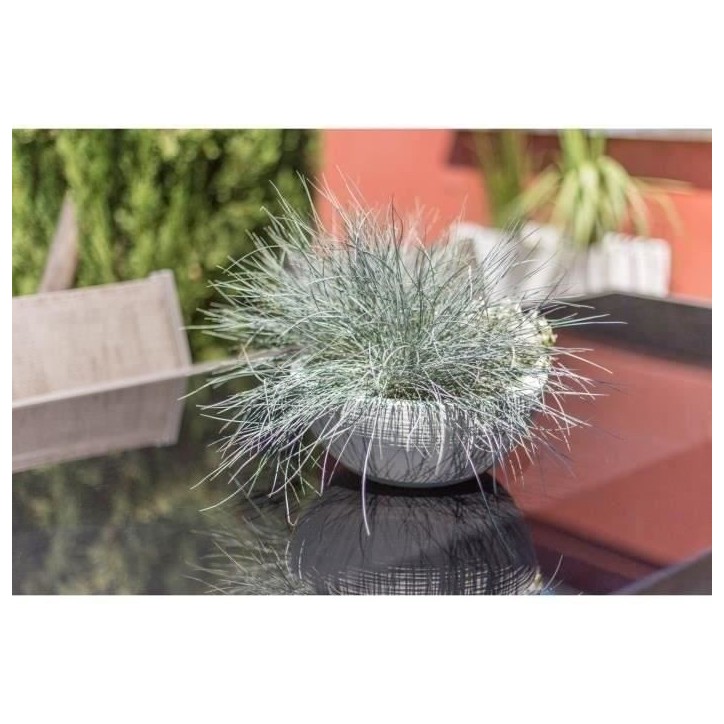 Pot vasque Ø 40 cm - EDA - Graphit Up - 14,9 L - Intérieur / Extérieur - Ø 40 x H. 16,5 cm - Blanc Cérusé Pot vasque Ø 40 cm - EDA - Graphit Up - 14,9 L - Intérieur / Extérieur - Ø 40 x H. 16,5 cm - Blanc Cérusé