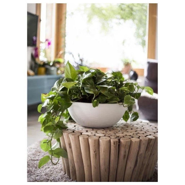 Pot vasque Ø 40 cm - EDA - Graphit Up - 14,9 L - Intérieur / Extérieur - Ø 40 x H. 16,5 cm - Blanc Cérusé Pot vasque Ø 40 cm - EDA - Graphit Up - 14,9 L - Intérieur / Extérieur - Ø 40 x H. 16,5 cm - Blanc Cérusé