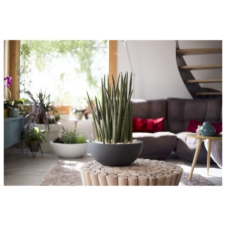 Pot vasque Ø 40 cm - EDA - Graphit Up - 14,9 L - Intérieur / Extérieur - Ø 40 x H. 16,5 cm - Gris Anthracite Pot vasque Ø 40 cm - EDA - Graphit Up - 14,9 L - Intérieur / Extérieur - Ø 40 x H. 16,5 cm - Gris Anthracite