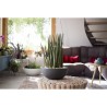 Pot vasque Ø 40 cm - EDA - Graphit Up - 14,9 L - Intérieur / Extéri