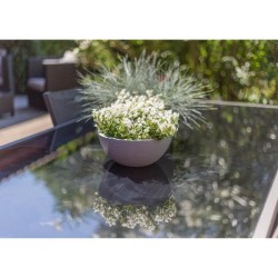 EDA Pot vasque GRAPHIT UP - 3,3L - Ø 25 cm x H 10 cm - Gris anthracit