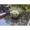 EDA Pot vasque GRAPHIT UP - 3,3L - Ø 25 cm x H 10 cm - Gris anthracit
