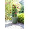 EDA Pot de fleur rond TOSCANE - 76 L - Ø 60 x H 47 cm - Vert laurier