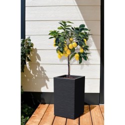 EDA Bac a fleurs Carré Haut GRAPHIT UP - 36 L - 29,5 x 29,5 cm x 49,5