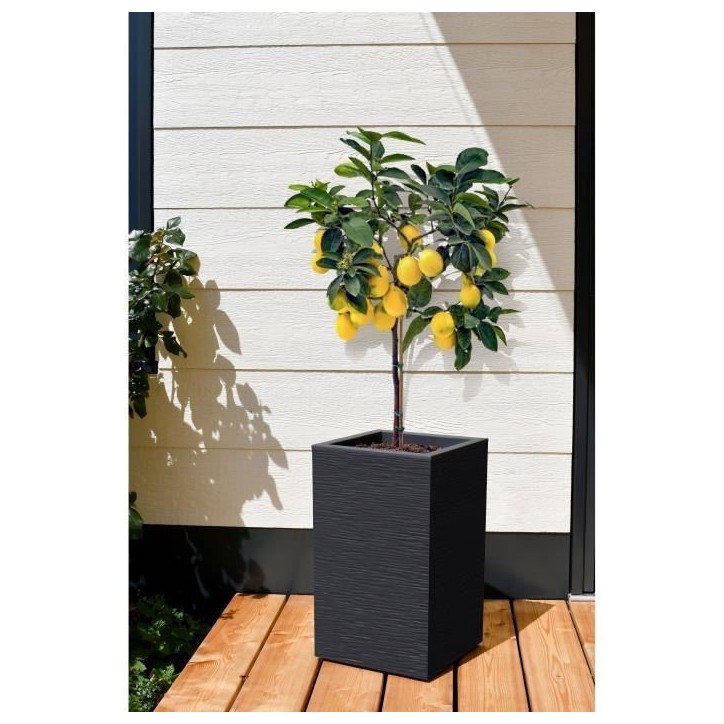EDA Bac a fleurs Carré Haut GRAPHIT UP - 36 L - 29,5 x 29,5 cm x 49,5 cm - Gris anthracite EDA Bac a fleurs Carré Haut GRAPHIT UP - 36 L - 29,5 x 29,5 cm x 49,5 cm - Gris anthracite
