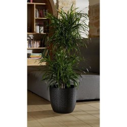 EDA Cache-pot OPALE - 14,8 L - Ø 29,5 x H.27,1 cm - Noir