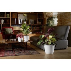EDA Cache-pot OPALE - 14,8 L - Ø 29,5 x H.27,1 cm - Blanc ivoire