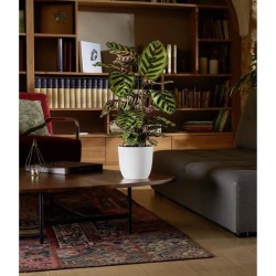 EDA Cache-pot OPALE - 14,8 L - Ø 29,5 x H.27,1 cm - Blanc ivoire