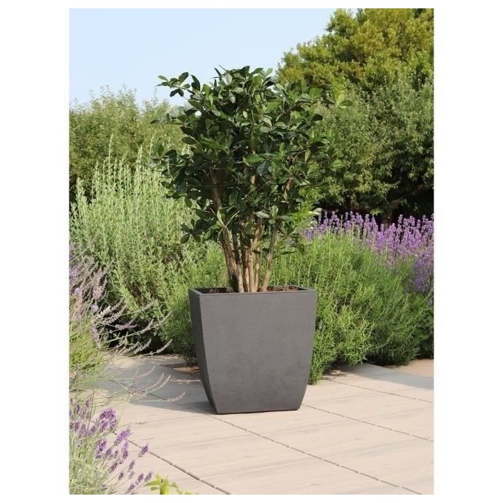 EDA Bac a fleurs Carré DIVA BASALT - 42 L - 43,5 x 43,5 x H.44,2 cm - Bac intérieur amovible - Gris anthracite EDA Bac a fleurs Carré DIVA BASALT - 42 L - 43,5 x 43,5 x H.44,2 cm - Bac intérieur amovible - Gris anthracite