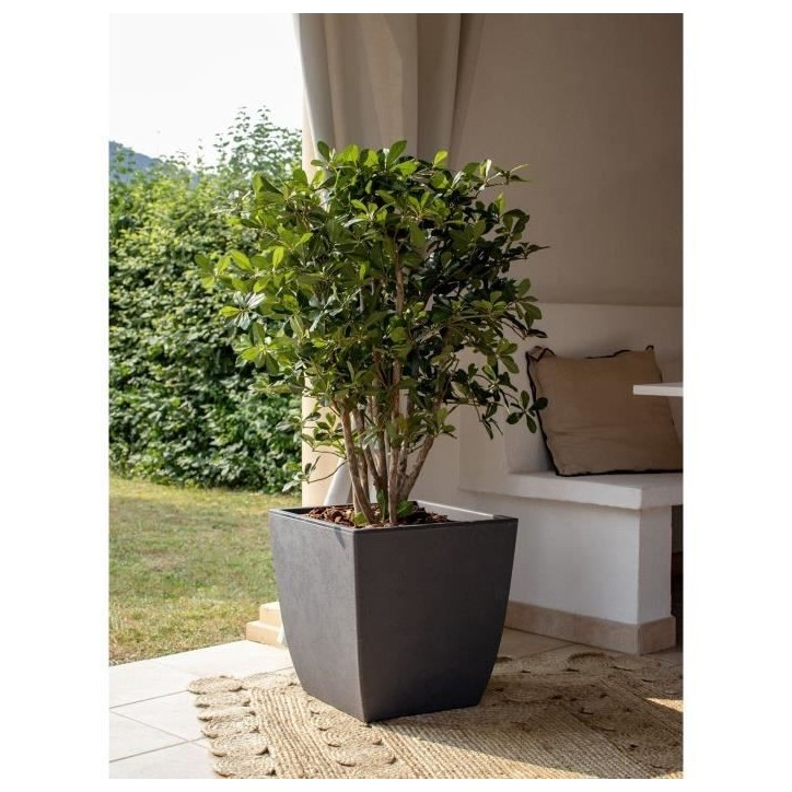 EDA Bac a fleurs Carré haut DIVA BASALT - 42 L - 43,5 x 43,5 x H.78.2 cm -Bac intérieur amovible - Gris anthracite