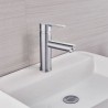 Mitigeur lavabo - EDOUARD ROUSSEAU - Dower - Cartouche céramique Ø 3