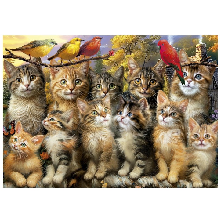 Puzzle - EDUCA - Chatons et Oiseaux - 500 pieces Puzzle - EDUCA - Chatons et Oiseaux - 500 pieces