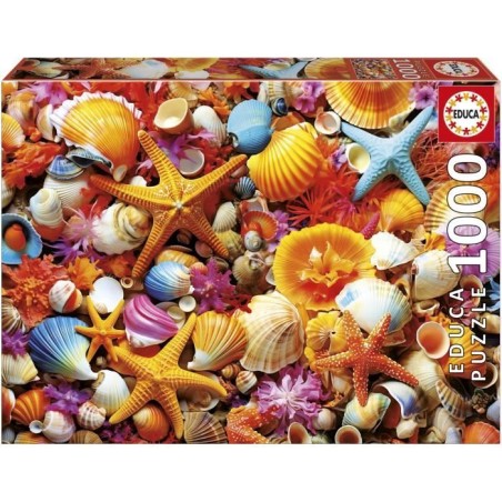 Puzzle - EDUCA - Collage de Coquillages - 1000 pieces - 68x48 cm - a p
