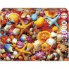 Puzzle - EDUCA - Collage de Coquillages - 1000 pieces - 68x48 cm - a p