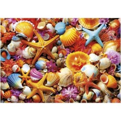 Puzzle - EDUCA - Collage de Coquillages - 1000 pieces - 68x48 cm - a p