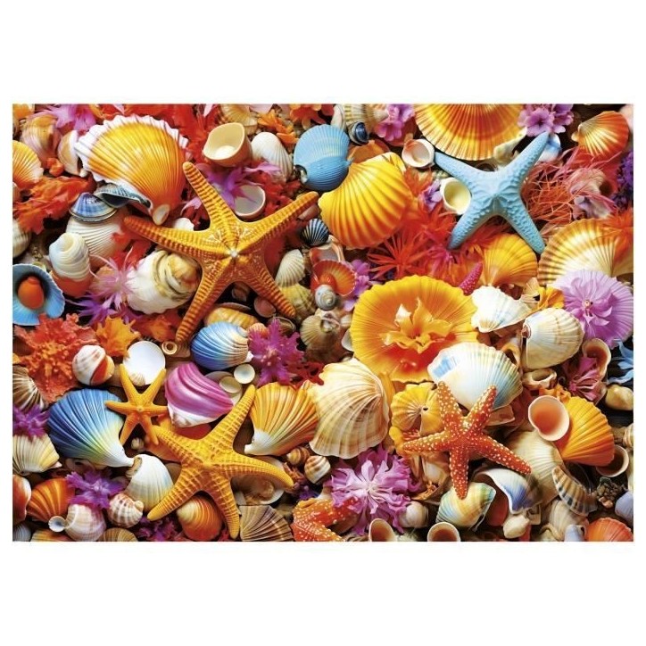 Puzzle - EDUCA - Collage de Coquillages - 1000 pieces - 68x48 cm - a partir de 12 ans Puzzle - EDUCA - Collage de Coquillages - 1000 pieces - 68x48 cm - a partir de 12 ans