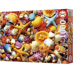 Puzzle - EDUCA - Collage de Coquillages - 1000 pieces - 68x48 cm - a p