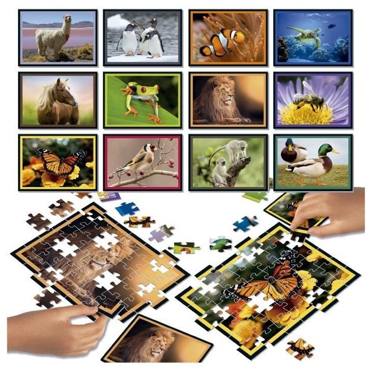 Puzzle - EDUCA - Battle Jr Natura - 12 puzzles - 42 pieces - Theme nature - Pour enfants a partir de 7 ans Puzzle - EDUCA - Battle Jr Natura - 12 puzzles - 42 pieces - Theme nature - Pour enfants a partir de 7 ans