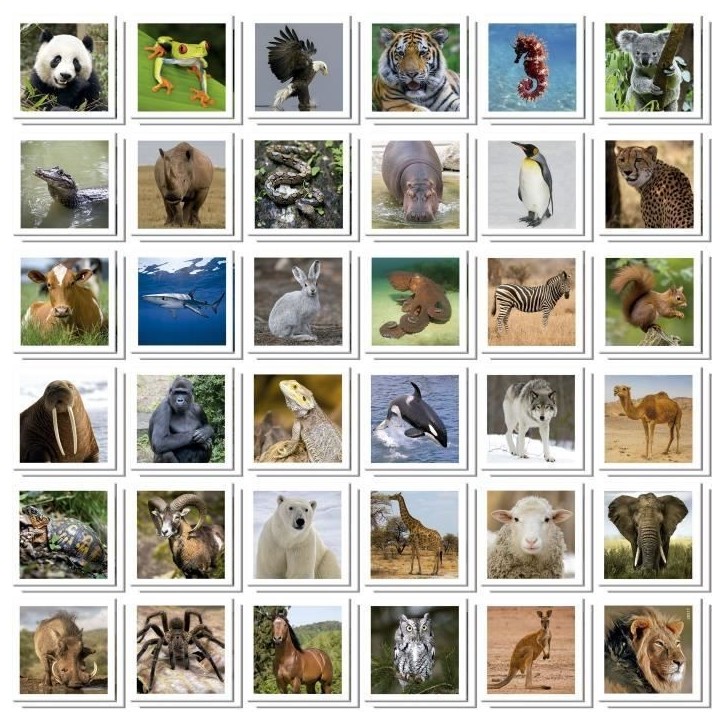 Identic Animaux - Jeu de mémoire - EDUCA - 72 cartes, développe mémoire et attention - Des 3 ans Identic Animaux - Jeu de mémoire - EDUCA - 72 cartes, développe mémoire et attention - Des 3 ans