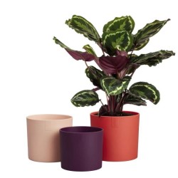 ELHO Pots de fleur Lex Pott - Set 14 cm - Rouge Rose Violet - L 14 x W