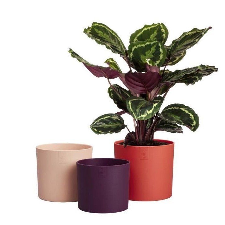 ELHO Pots de fleur Lex Pott - Set 14 cm - Rouge Rose Violet - L 14 x W 13.8 x H 12 cm - Intérieur - 100% recyclé