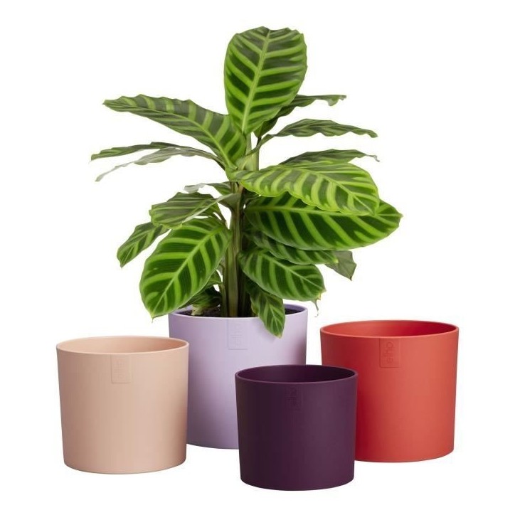 ELHO Pots de fleur Lex Pott - Set 15 cm - Violet Rouge Rose Violet - L 15 x W 14.8 x H 14 cm - Intérieur - 100% recyclé
