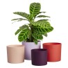ELHO Pots de fleur Lex Pott - Set 15 cm - Violet Rouge Rose Violet - L