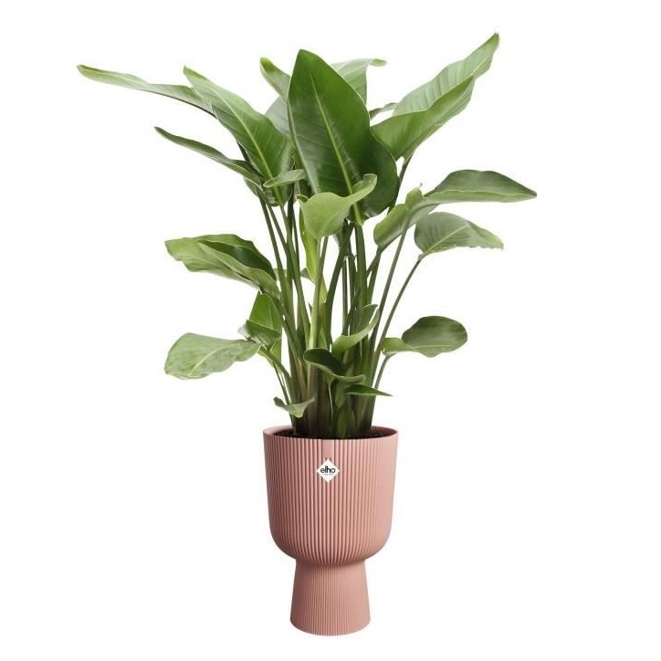 ELHO Pot de fleur Vibes Fold Coupe - Rose - Ø 29.5 x H 45 cm - Intérieur - 100% recyclé