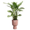 ELHO Pot de fleur Vibes Fold Coupe - Rose - Ø 29.5 x H 45 cm - Intér