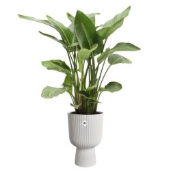 ELHO Pot de fleur Vibes Fold Coupe - Blanc - Ø 29.5 x H 45 cm - Inté