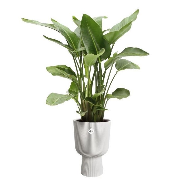 ELHO Pot de fleur Vibes Fold Coupe - Blanc - Ø 29.5 x H 45 cm - Intérieur - 100% recyclé