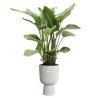 ELHO Pot de fleur Vibes Fold Coupe - Blanc - Ø 29.5 x H 45 cm - Inté