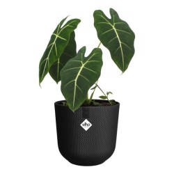 ELHO Pot de fleur Jazz Rond - Noir - Ø 26 x H 24 cm - Intérieur - 10