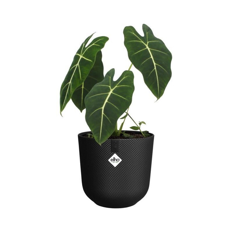 ELHO Pot de fleur Jazz Rond - Noir - Ø 26 x H 24 cm - Intérieur - 10 ELHO Pot de fleur Jazz Rond - Noir - Ø 26 x H 24 cm - Intérieur - 10