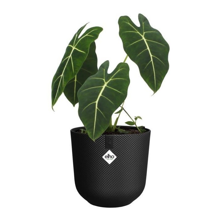 ELHO Pot de fleur Jazz Rond - Noir - Ø 26 x H 24 cm - Intérieur - 100% recyclé