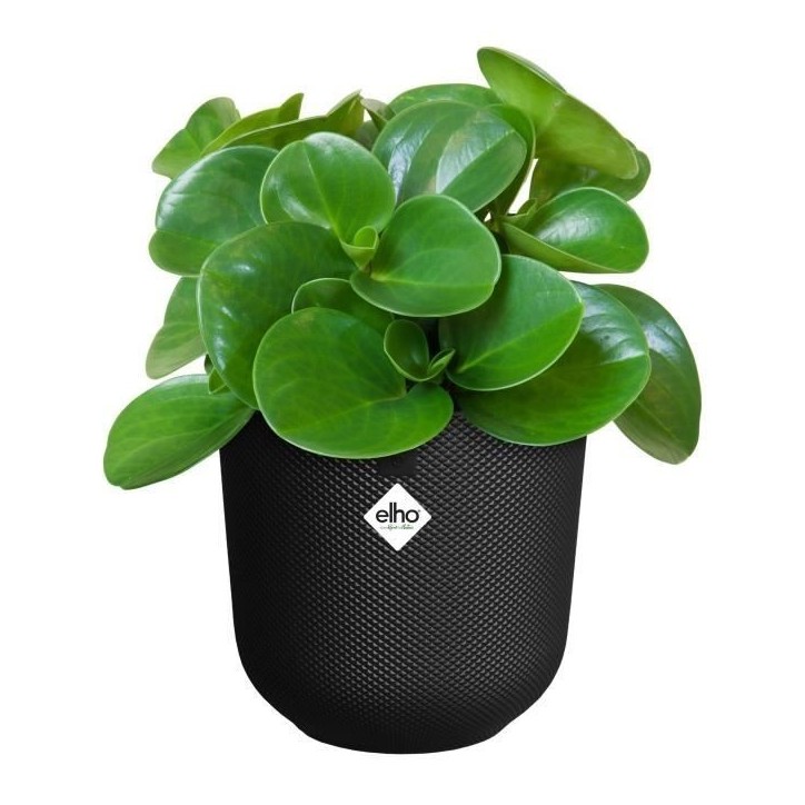 ELHO Pot de fleur Jazz Rond - Noir - Ø 26 x H 24 cm - Intérieur - 100% recyclé