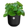 ELHO Pot de fleur Jazz Rond - Noir - Ø 26 x H 24 cm - Intérieur - 10