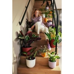 ELHO Pot de fleur Jazz Rond - Blanc - Ø 26 x H 24 cm - Intérieur - 1
