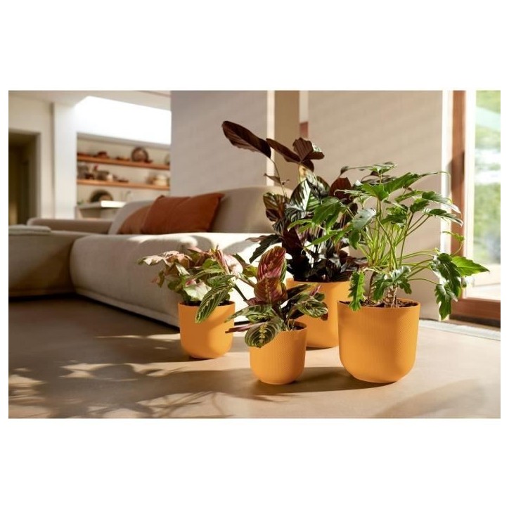 ELHO Pot de fleur Jazz Rond - Jaune - Ø 34.5 x H 32 cm - Intérieur - 100% recyclé ELHO Pot de fleur Jazz Rond - Jaune - Ø 34.5 x H 32 cm - Intérieur - 100% recyclé