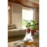ELHO Pot de fleur Jazz Rond - Rouge - Ø 34.5 x H 32 cm - Intérieur -