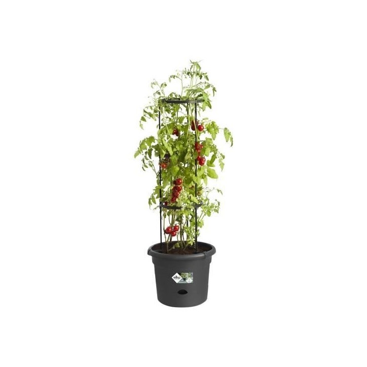 ELHO Pot a tomate Green Basics - Ø 33 x 25 cm - Noir vif ELHO Pot a tomate Green Basics - Ø 33 x 25 cm - Noir vif