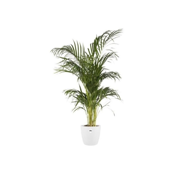 ELHO Pot de fleur BRUSSELS rond - Ø 24.3 x H 23.2 cm - Blanc