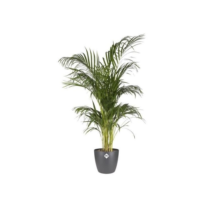 ELHO Pot de fleurs Brussels Rond - Ø 30 x H27,1 cm - Anthracite