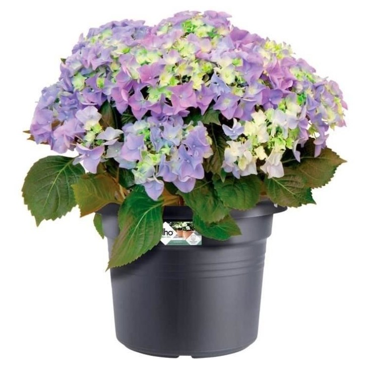 ELHO Pot de fleurs Rond GREEN BASICS - Plastique - Ø43,8 x H33,8 cm - Terre cuite doux