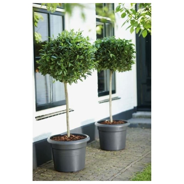 ELHO Pot de fleurs Rond GREEN BASICS - Plastique - Ø43,8 x H33,8 cm - Terre cuite doux