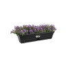ELHO Balconniere Green Basics Allin1 - Extérieur & Balcon - L 25,7 x
