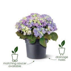 ELHO Pot de fleurs Green Basics Cilinder - Ø 64 x H 49 cm - Extérieu